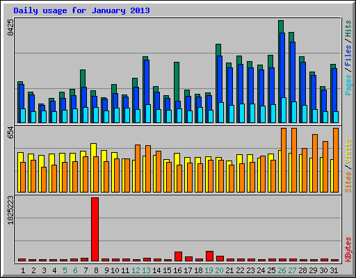 Daily usage for January 2013
