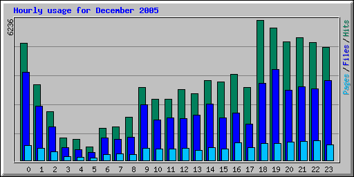 Hourly usage for December 2005